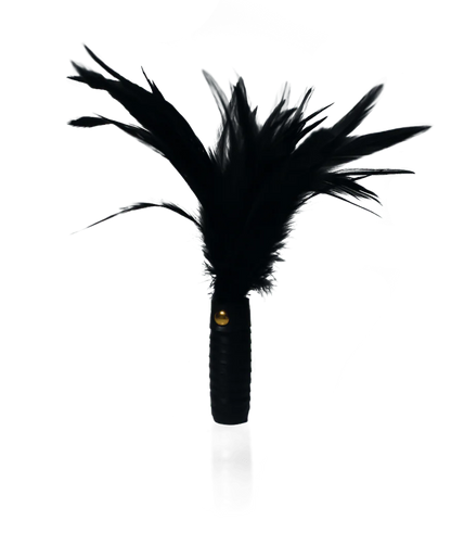 Black Leather Feather Tickler